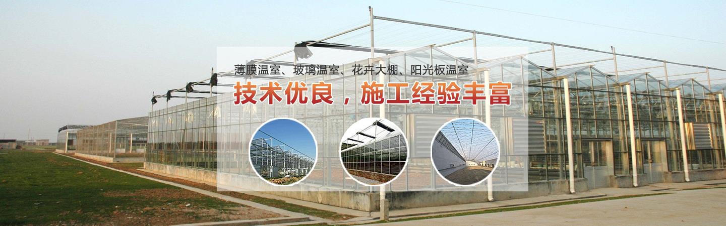 蔬菜大棚造价